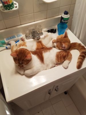 Fred and George
