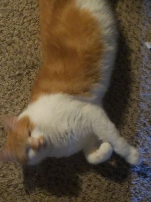 Fred
