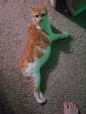 Fred
