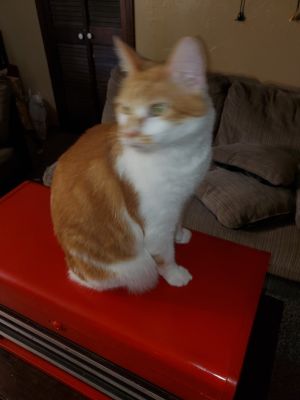 Fred
