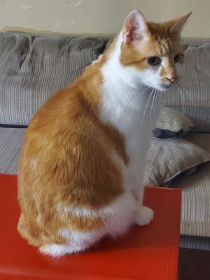 Fred
