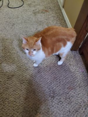 Fred
