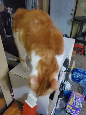 Fred
