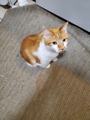 Fred
