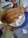 20240129_095753.jpg