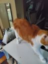 20240417_094619.jpg